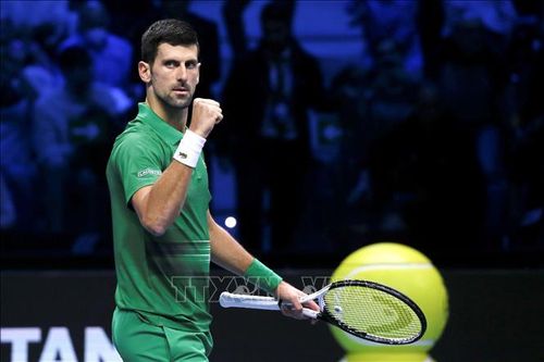 Tay vợt số một thế giới N. Djokovic rút khỏi giải Madrid Masters vì chấn thương
