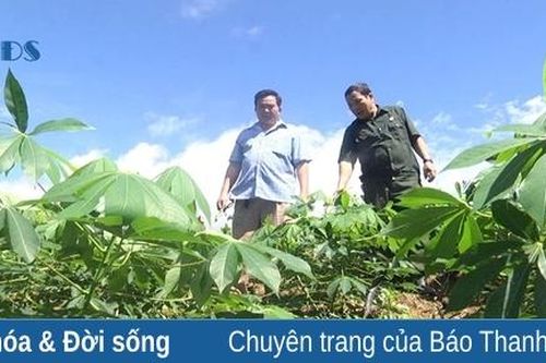 Cựu chiến binh chung sức xây dựng nông thôn mới