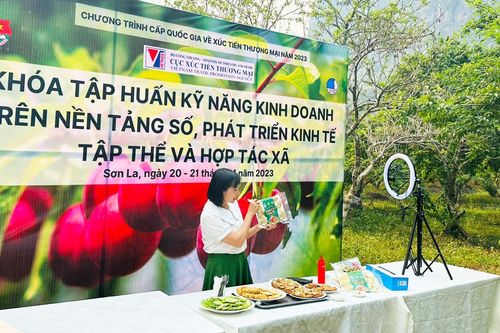Tập huấn, hỗ trợ doanh nghiệp, hợp tác xã tỉnh Sơn La kinh doanh trên nền tảng số