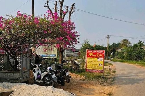 Giám sát chặt, xử lý nghiêm dịch vụ thẩm mỹ trá hình