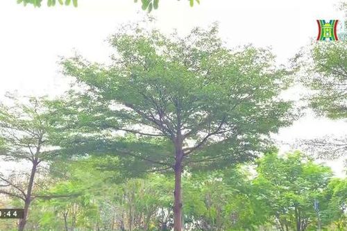 Hà Nội đẹp và chưa đẹp (ngày 22/04/2023)
