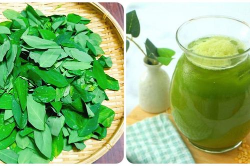 Uống nước rau ngót sống có tốt không?