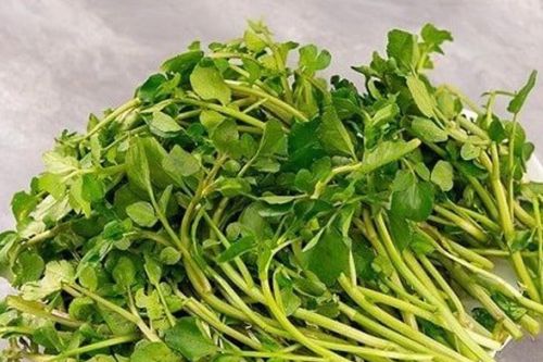 Công dụng của rau cải xoong không phải ai cũng biết