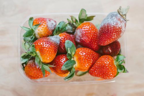 Những thực phẩm vẫn ăn được sau khi cắt bỏ phần mốc