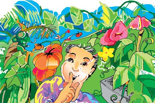 Khu vườn của xóm