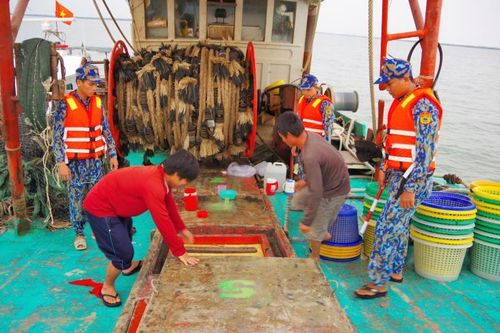 Cà Mau: Xử phạt thuyền trưởng 2 tàu đánh cá thu mua gần 30 nghìn lít dầu lậu trên biển