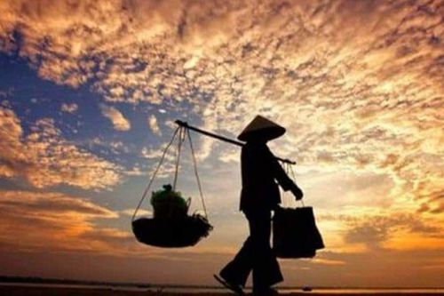 Xuôi về cù lao