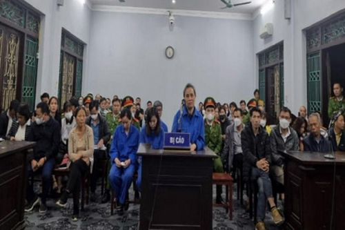 Cái giá của 'học', 'hùa' theo lừa đảo
