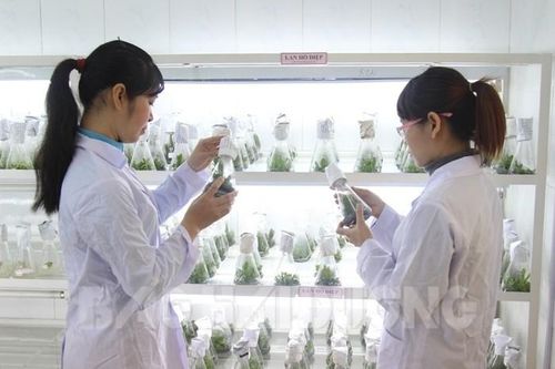Hoàn thiện chính sách thúc đẩy phụ nữ làm khoa học, công nghệ, đổi mới, sáng tạo
