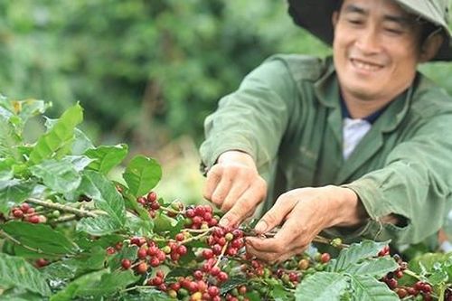 Phải đi mới có đơn hàng, ngồi im doanh nghiệp sẽ 'chết'