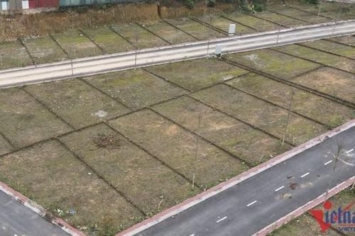 Người mua BĐS chờ 'bắt đáy', xếp hàng 2 ngày đăng ký mua nhà ở xã hội