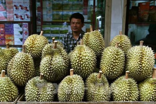 Trung Quốc là thị trường lớn nhất của trái cây Thái Lan