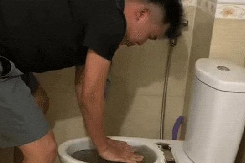 Người dùng chia sẻ cách thông bồn cầu tắc chỉ với 5.000 đồng, liệu có hiệu quả không?
