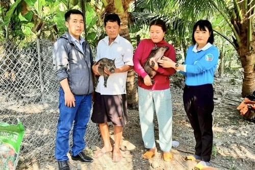 Mô hình 'Tặng con giống sinh ra con giống': Giúp nhiều phụ nữ thoát nghèo