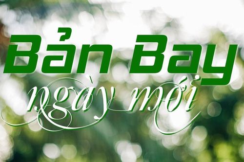 Bản Bay ngày mới