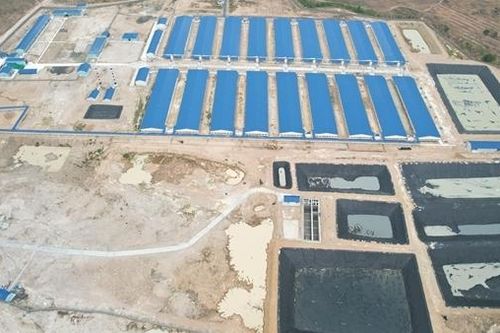 Tiếng kêu cứu ở nơi hàng ngàn người dân phải bịt mũi bằng lá chanh cả ngày