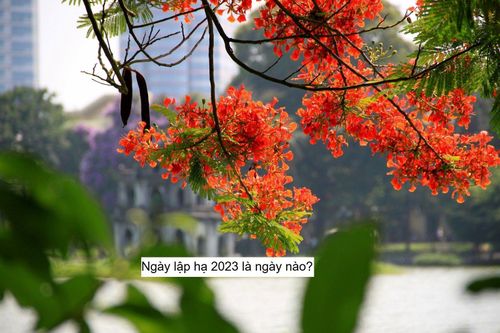 Ngày Lập hạ 2023 là ngày nào?