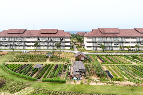 Resort ở Quảng Nam tự trồng rau phục vụ bữa ăn cho du khách