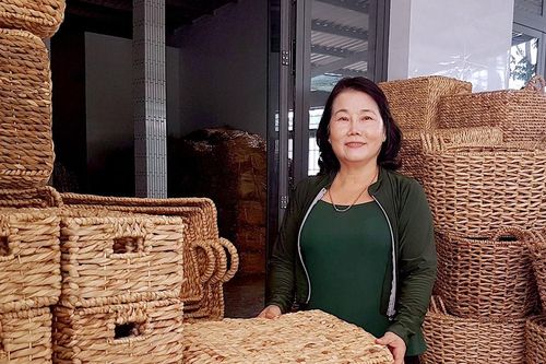 Người đưa cây lục bình ra thế giới