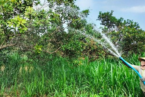 Đồng Nai: 'Khát nước' vì dự án trên giấy