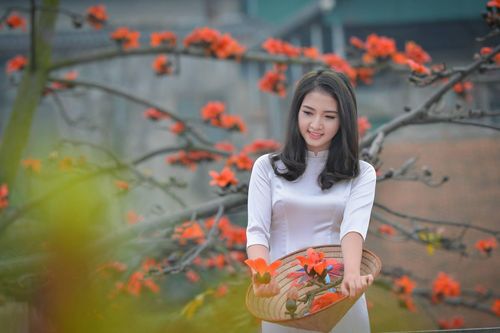 Vẫy gọi mùa sang