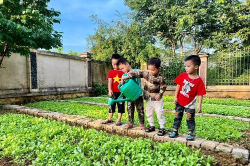 Hình thành kỹ năng cho trẻ qua khám phá thiên nhiên