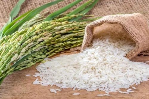 Lý do khiến thế giới đối mặt với tình trạng thiếu gạo trầm trọng