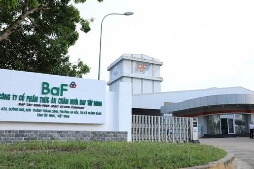 Nông nghiệp BAF Việt Nam (BAF) mục tiêu kinh doanh đi ngang, chưa có kế hoạch chia cổ tức