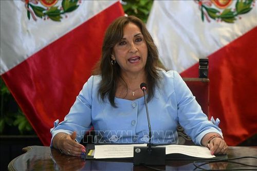 Chính phủ lâm thời Peru bổ nhiệm 4 bộ trưởng mới