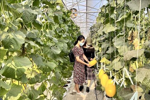 Du lịch Bình Thuận sẵn sàng cho kỳ nghỉ lễ 30/4