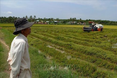Kon Tum: Mưa đá gây thiệt hại nhiều tài sản, hoa màu
