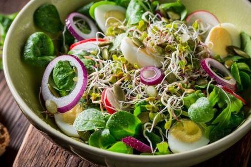 Những món ăn giúp hệ tiêu hóa khỏe mạnh trong mùa hè