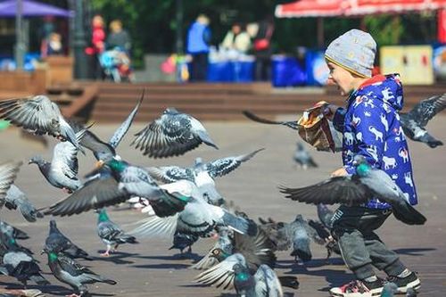 Trải nghiệm đáng nhớ của cặp vợ chồng quyết mang theo con vài tháng tuổi tới Nga du lịch