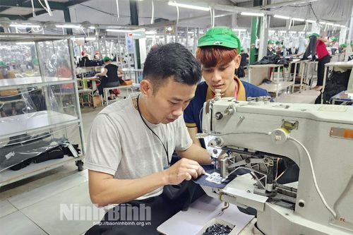 Phong trào thi đua 'Lao động giỏi, lao động sáng tạo' góp phần thúc đẩy phát triển kinh tế- xã hội
