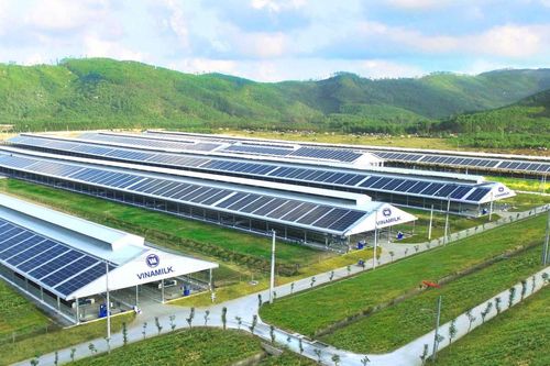 Vinamilk: Đề xuất dùng tối thiểu 50% lợi nhuận để chia cổ tức năm 2023, đăng ký kinh doanh thêm lĩnh vực điện mặt trời,