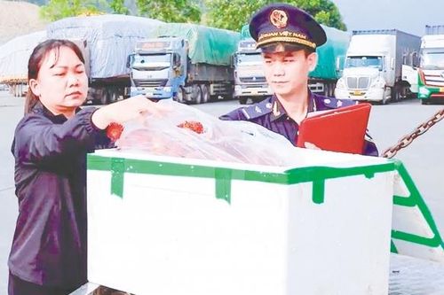 Thông quan thuận lợi, xuất nhập khẩu qua biên giới phía Bắc tăng mạnh