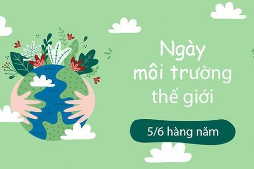 Nguồn gốc và ý nghĩa Ngày Môi trường Thế giới 5/6