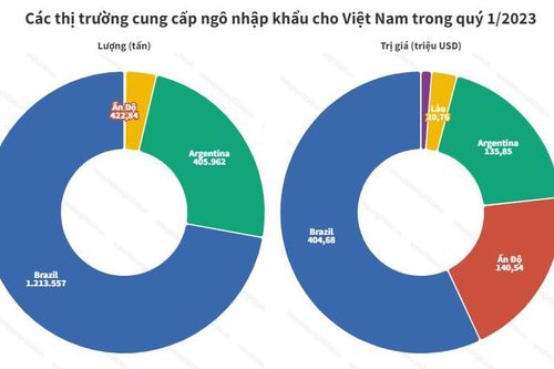Argentina là một trong 5 thị trường cung cấp ngô cho Việt Nam