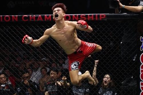 Tận hưởng võ thuật từ những trận MMA