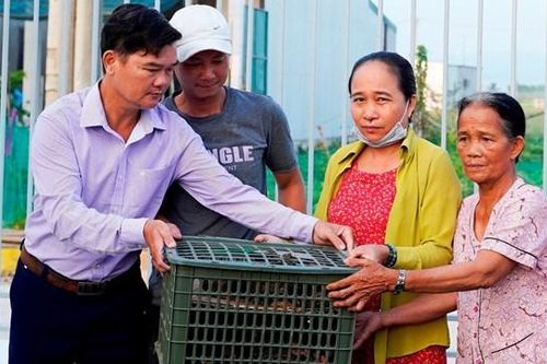 Hỗ trợ gần 10 ngàn con gà giống tạo sinh kế giúp người dân thoát nghèo