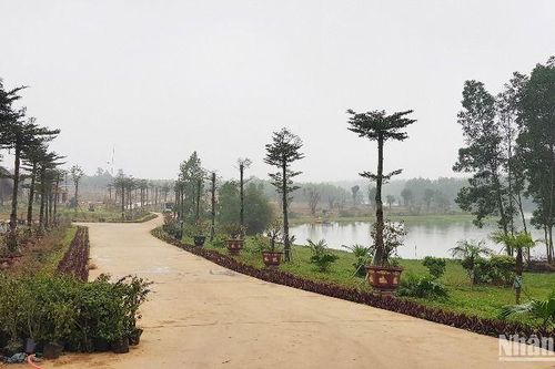 Phạt chủ khu giáo dục trải nghiệm Trưng Vương Garden vì xây dựng trái phép