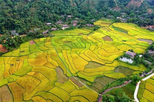 Lào Cai: Khai hội 'Sắc vàng bên dòng Nậm Luông' 2023