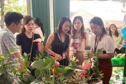 Ra mắt Hợp tác xã Dịch vụ nông nghiệp thanh niên đô thị Cần Thơ
