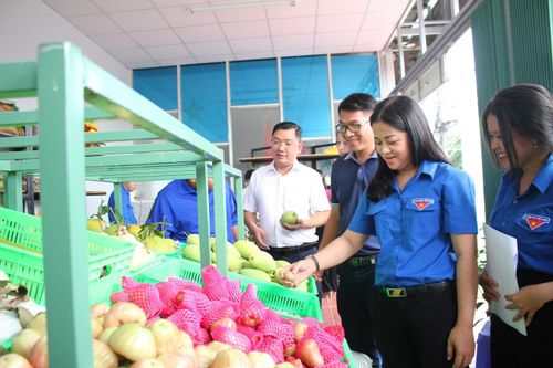 Cần Thơ ra mắt Hợp tác xã dịch vụ nông nghiệp thanh niên đô thị