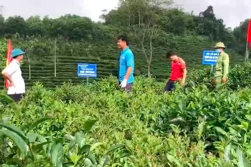 Hưng Khánh giảm nghèo bền vững bằng phát triển kinh tế xanh