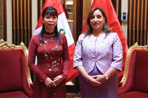 Tăng cường thúc đẩy quan hệ hữu nghị và hợp tác Việt Nam-Peru