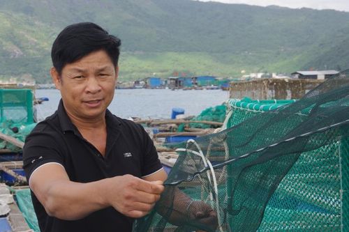 Tỷ phú tôm hùm