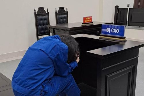 'Siêu lừa' chiếm đoạt 57 tỷ đồng của 12 bị hại