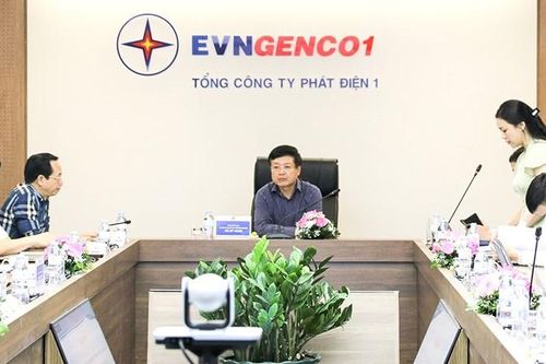 Bao giờ cổ phần hóa EVNGENCO1?