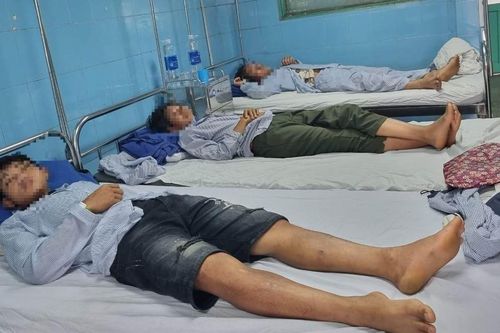 Ăn thịt cóc vào bữa sáng, 3 người trong một gia đình ngộ độc